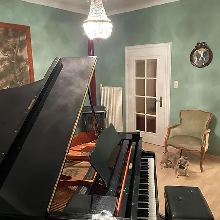 Musikalische Mit Rheinblick *